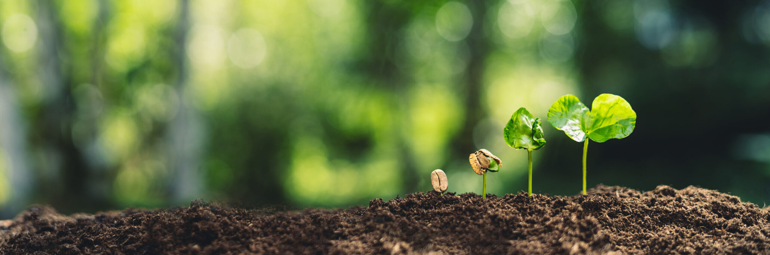 環境への取り組み