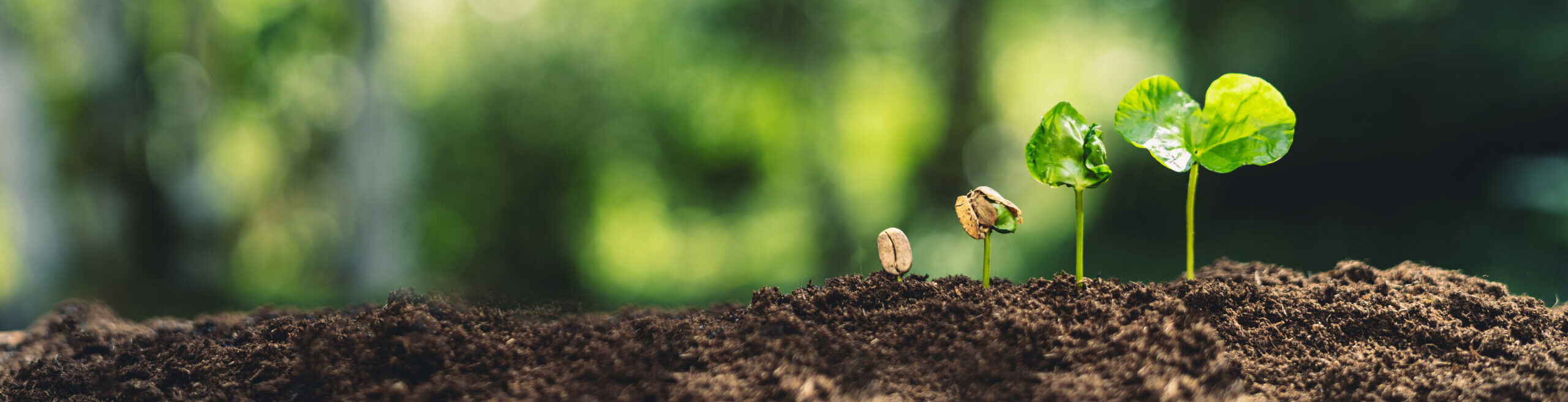 環境への取り組み